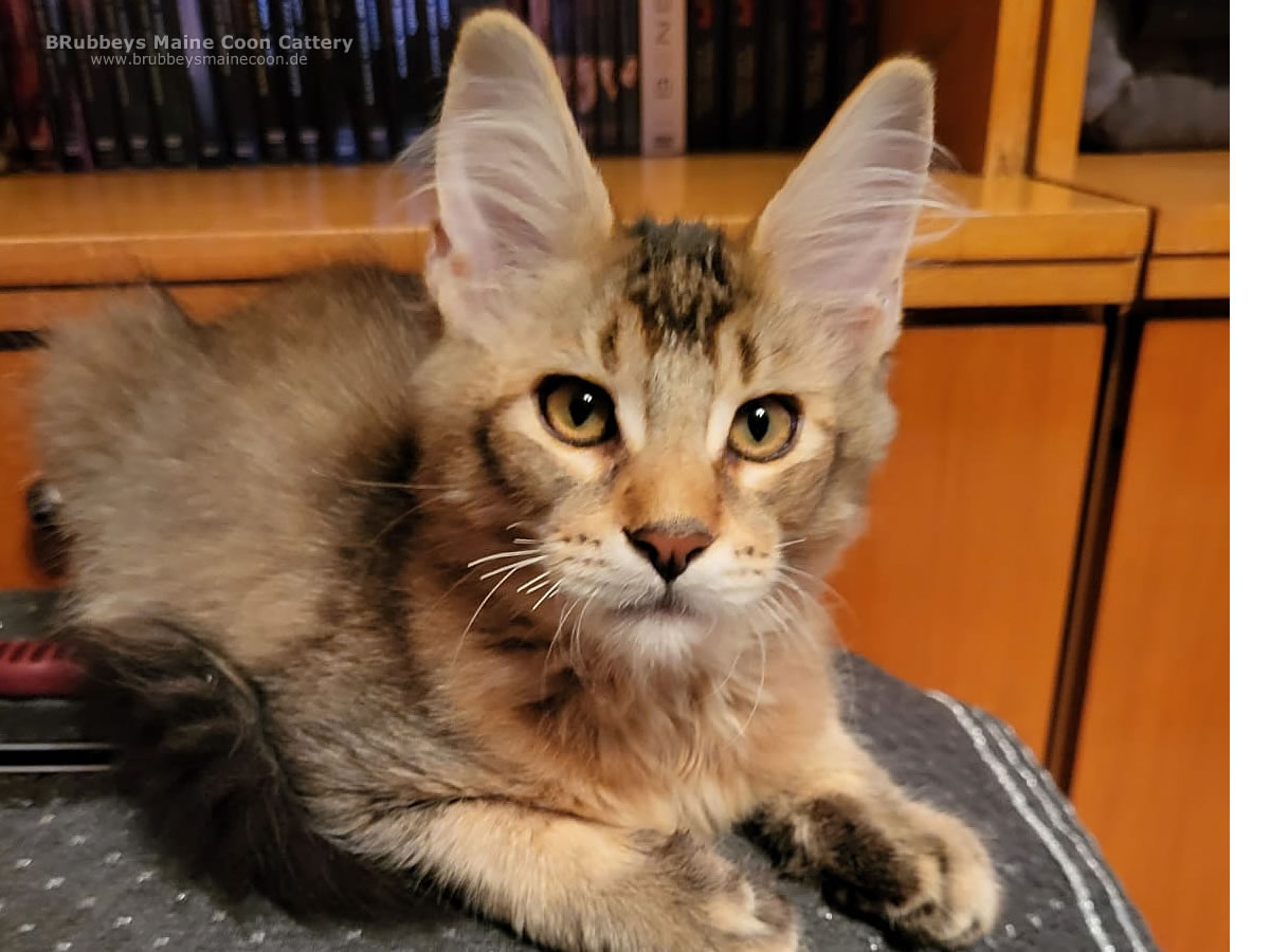 Yukon Auszug Yukon Auszug