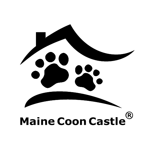 Maine Coon Zucht - Maine Coon Castle